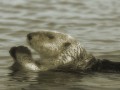 image15